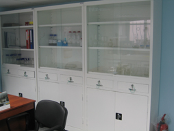 lab cabinets